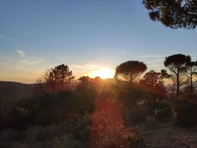 Un paysage du soleil qui se lève